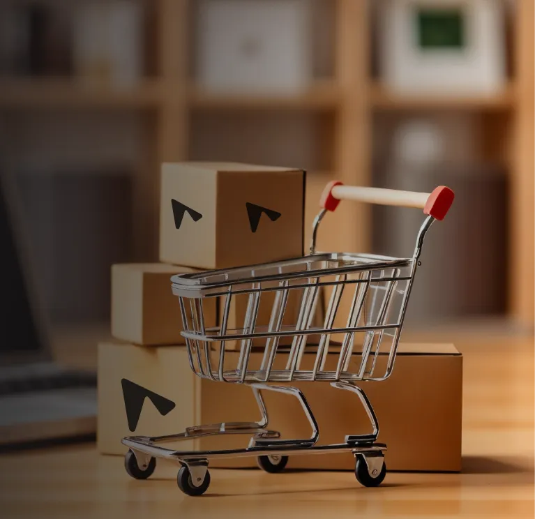 Shadowfax ecommerce and D2C delivery solutions